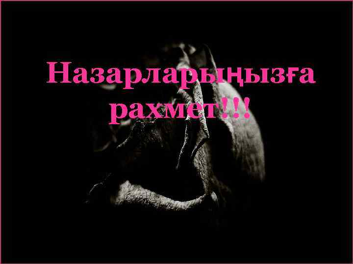 Назарларыңызға рахмет!!! 