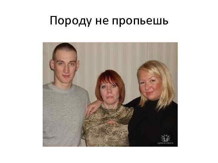 Породу не пропьешь 