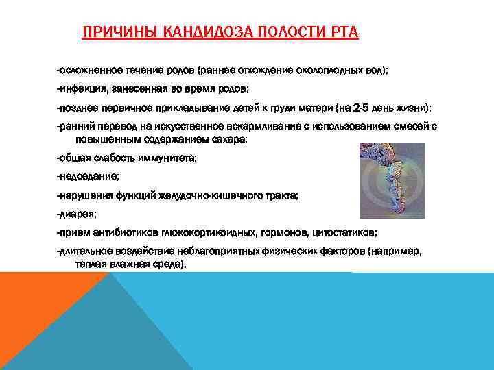 ПРИЧИНЫ КАНДИДОЗА ПОЛОСТИ РТА -осложненное течение родов (раннее отхождение околоплодных вод); -инфекция, занесенная во