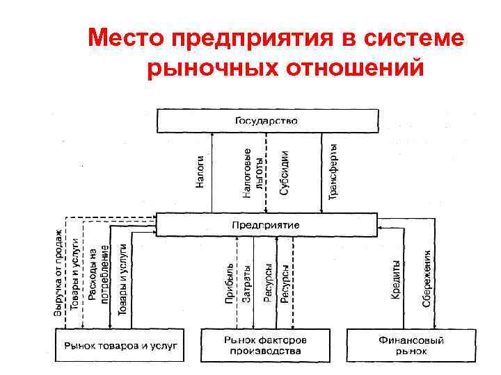Место предприятия в системе рыночных отношений 
