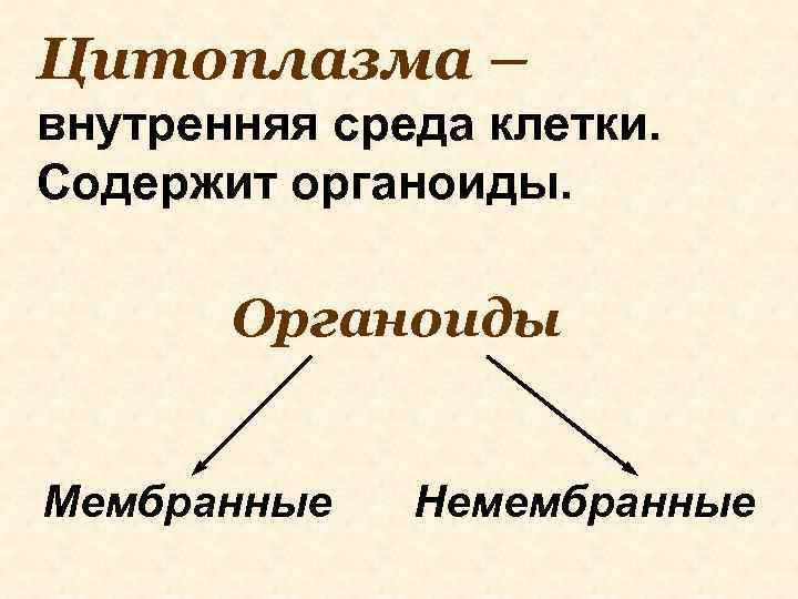 Цитоплазма – внутренняя среда клетки. Содержит органоиды. Органоиды Мембранные Немембранные 