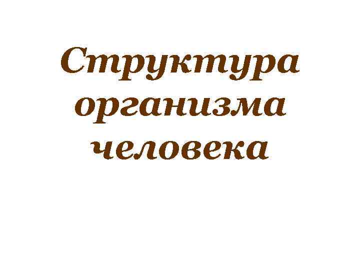 Структура организма человека 