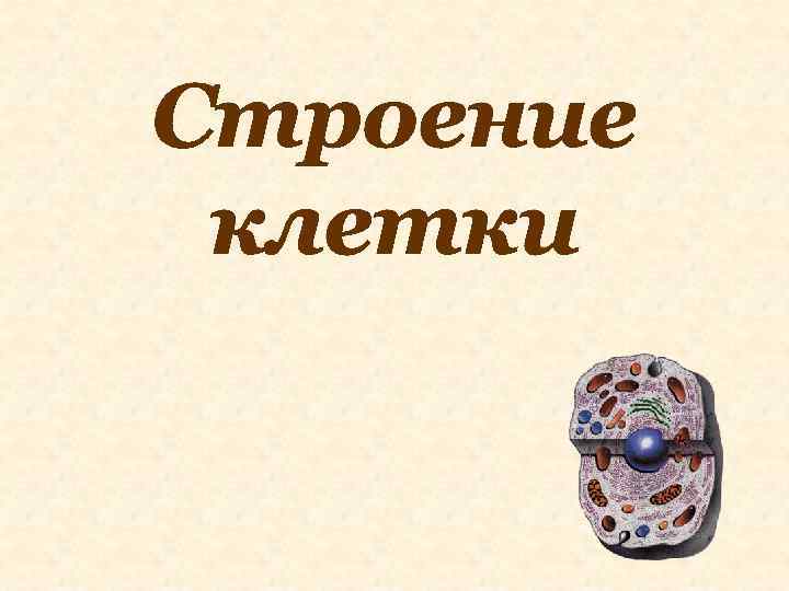 Строение клетки 