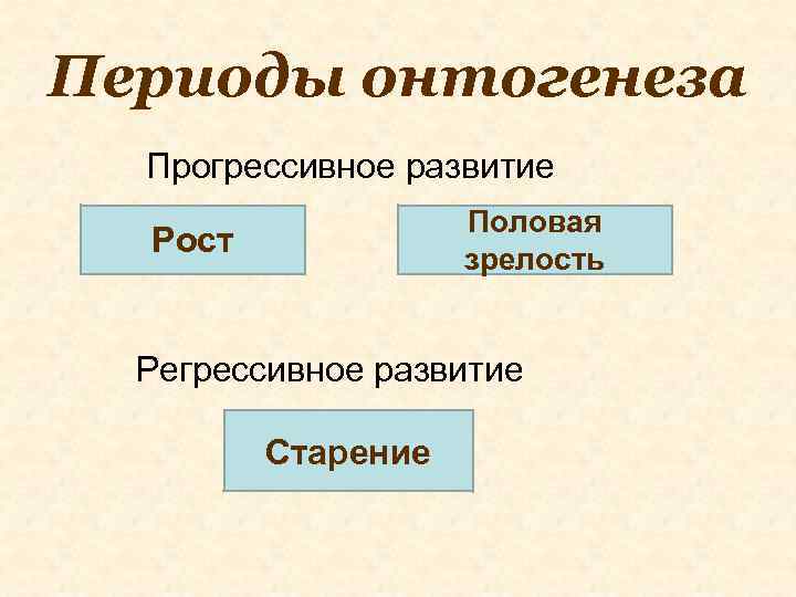 Периоды онтогенеза Прогрессивное развитие Половая зрелость Рост Регрессивное развитие Старение 