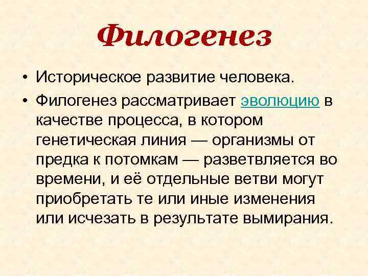 Филогенез • Историческое развитие человека. • Филогенез рассматривает эволюцию в качестве процесса, в котором