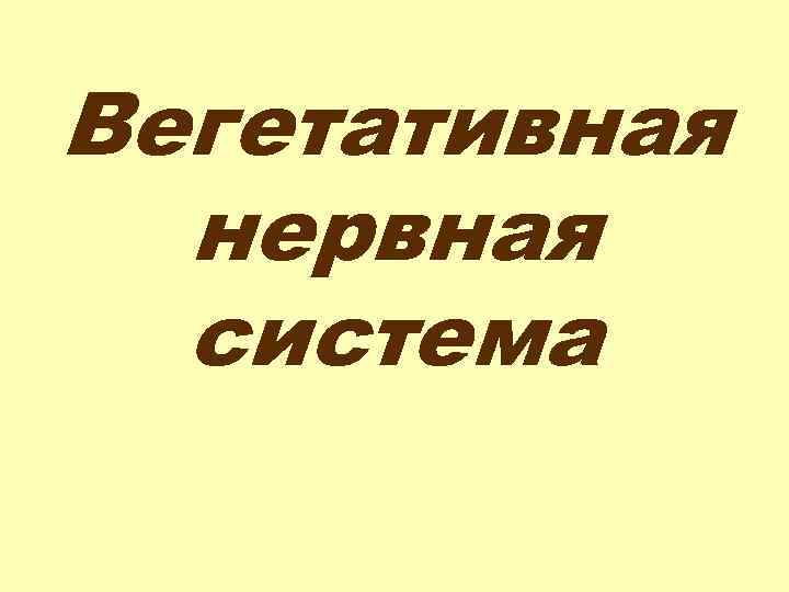 Вегетативная нервная система 