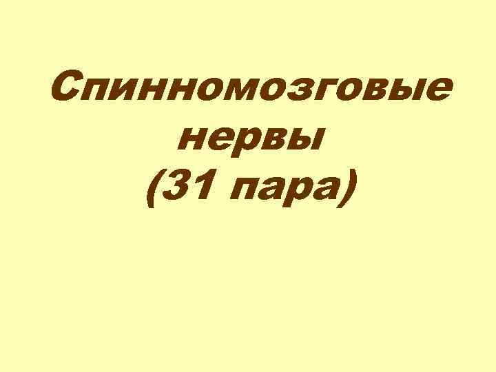 Спинномозговые нервы (31 пара) 