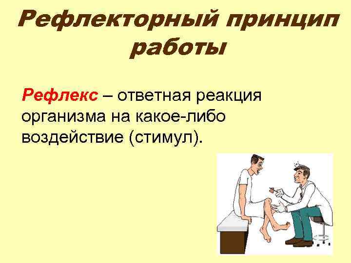 Рефлекторный принцип работы Рефлекс – ответная реакция организма на какое-либо воздействие (стимул). 