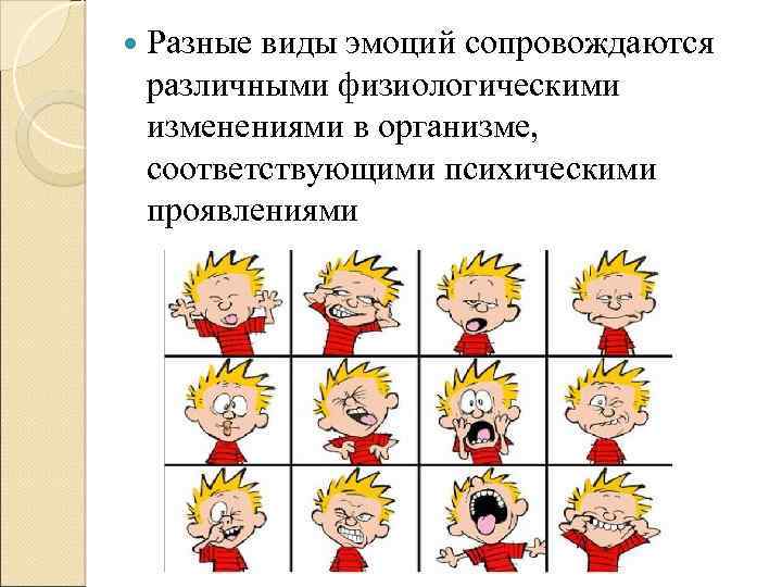  Разные виды эмоций сопровождаются различными физиологическими изменениями в организме, соответствующими психическими проявлениями 
