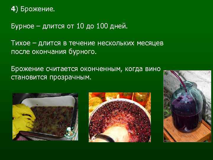 4) Брожение. Бурное – длится от 10 до 100 дней. Тихое – длится в