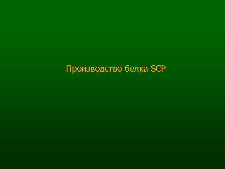 Производство белка SCP 