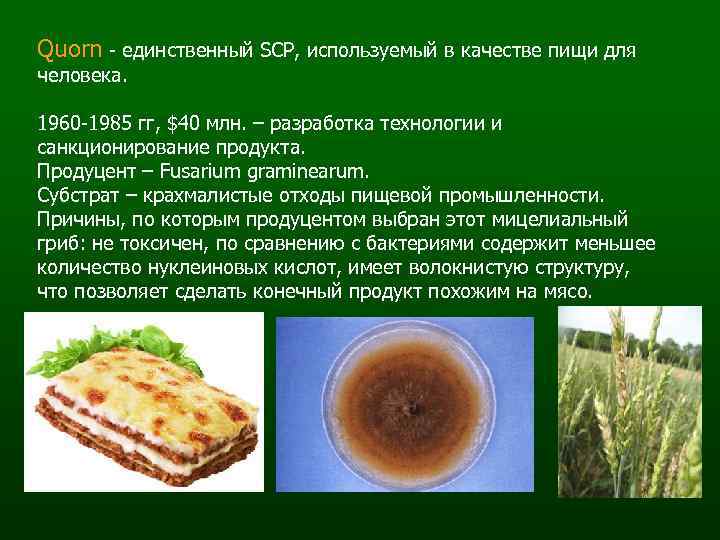 Quorn - единственный SCP, используемый в качестве пищи для человека. 1960 -1985 гг, $40