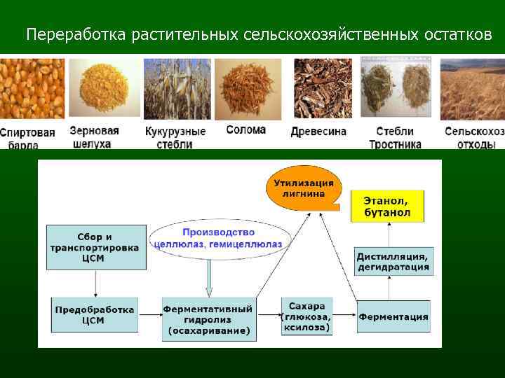 Бизнес план по переработке грибов