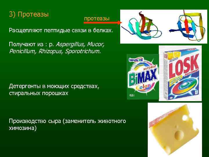 3) Протеазы протеазы Расщепляют пептидые связи в белках. Получают из : р. Aspergillus, Mucor,