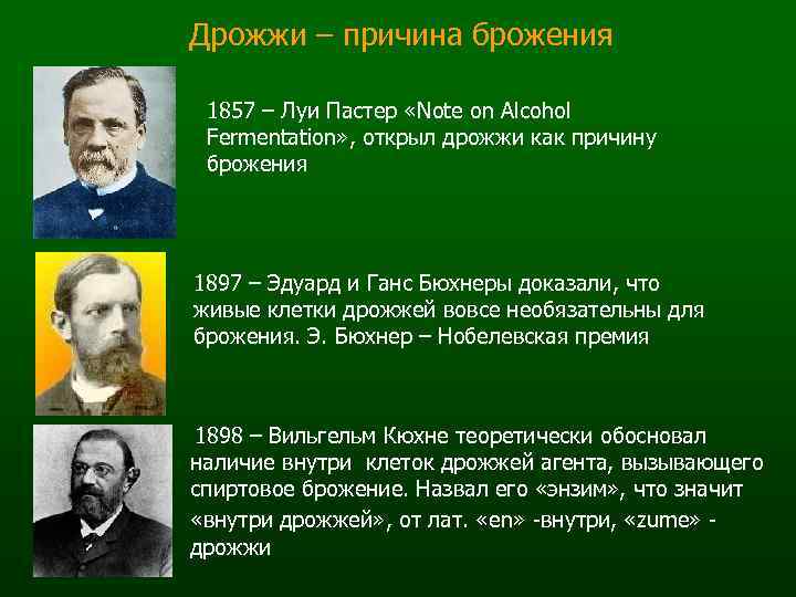 Дрожжи – причина брожения 1857 – Луи Пастер «Note on Alcohol Fermentation» , открыл