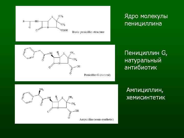 Ядро молекулы