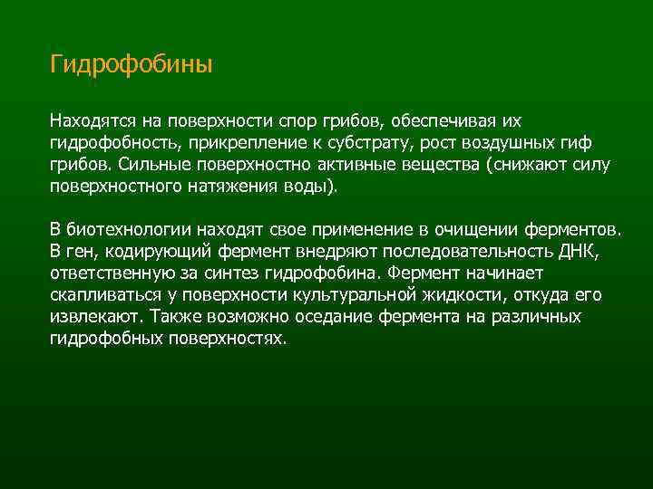 Гидрофобины Находятся на поверхности спор грибов, обеспечивая их гидрофобность, прикрепление к субстрату, рост воздушных