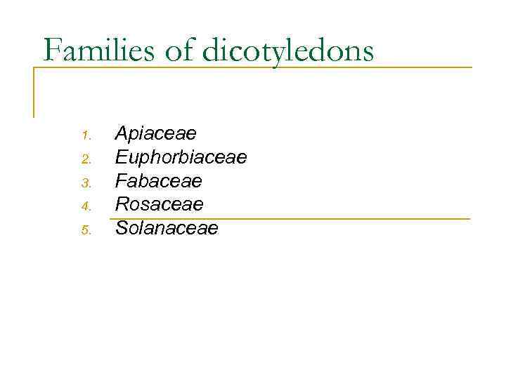 Families of dicotyledons 1. 2. 3. 4. 5. Apiaceae Euphorbiaceae Fabaceae Rosaceae Solanaceae 