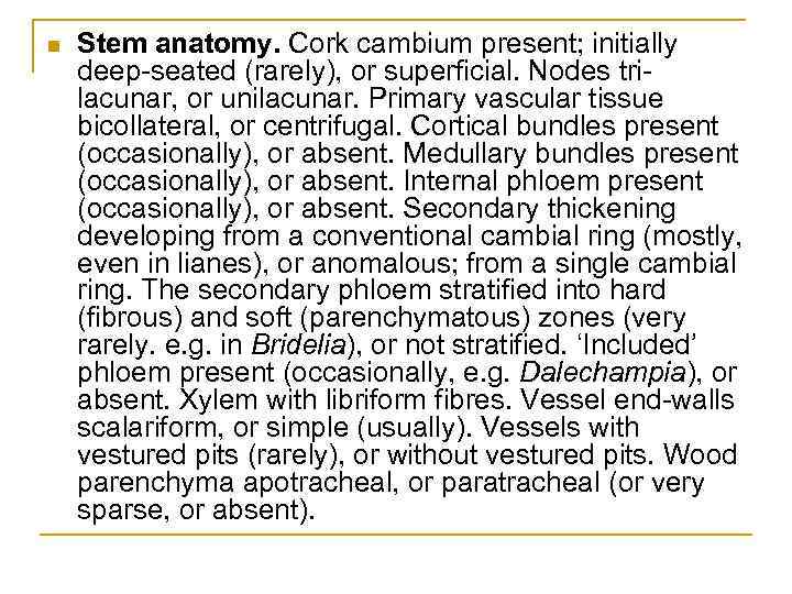 n Stem anatomy. Cork cambium present; initially deep-seated (rarely), or superficial. Nodes trilacunar, or