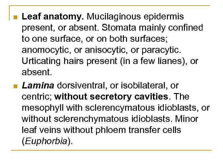 n n Leaf anatomy. Mucilaginous epidermis present, or absent. Stomata mainly confined to one