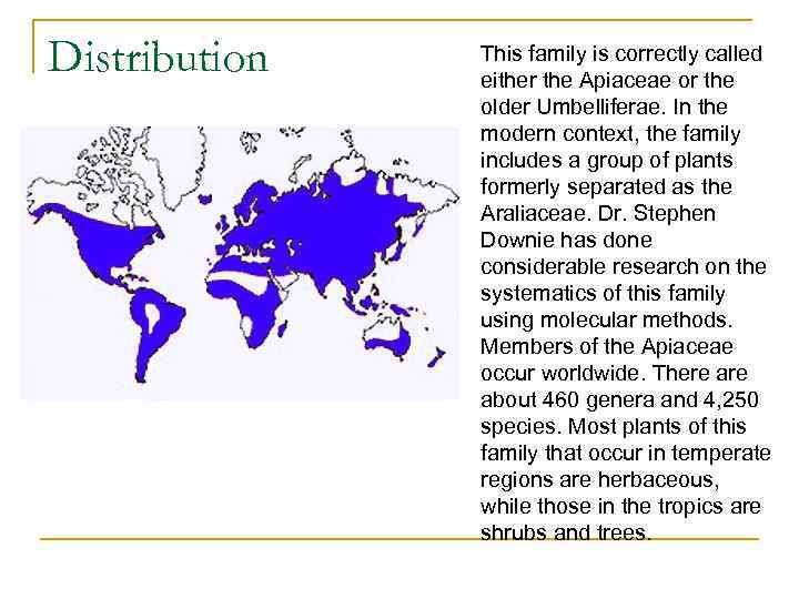 Distribution This family is correctly called either the Apiaceae or the older Umbelliferae. In