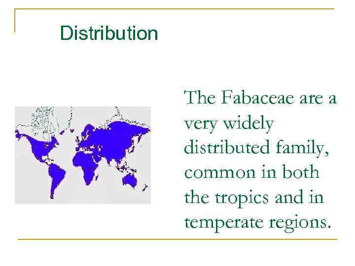 Distribution The Fabaceae are a very widely distributed family, common in both the tropics