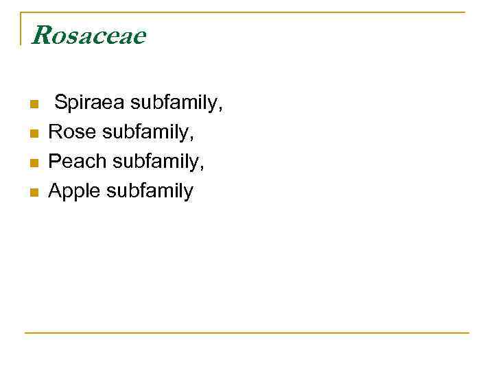 Rosaceae n n Spiraea subfamily, Rose subfamily, Peach subfamily, Apple subfamily 