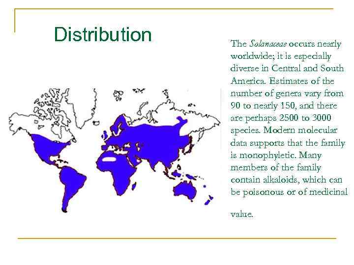 Distribution The Solanaceae occurs nearly worldwide; it is especially diverse in Central and South