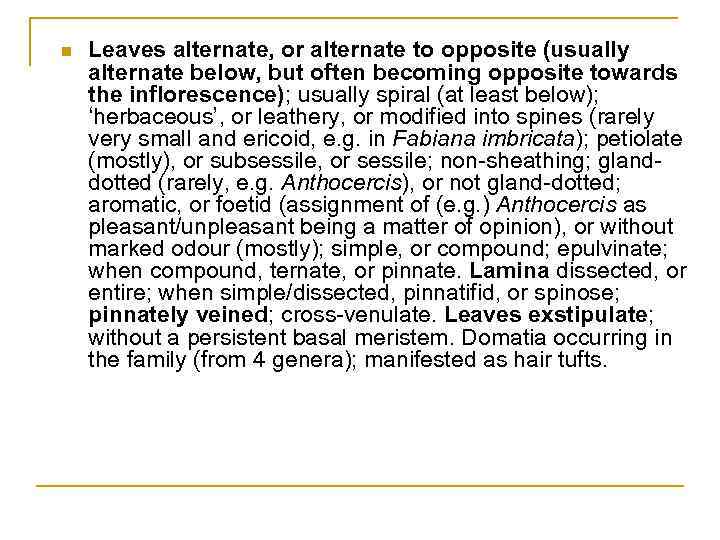 n Leaves alternate, or alternate to opposite (usually alternate below, but often becoming opposite