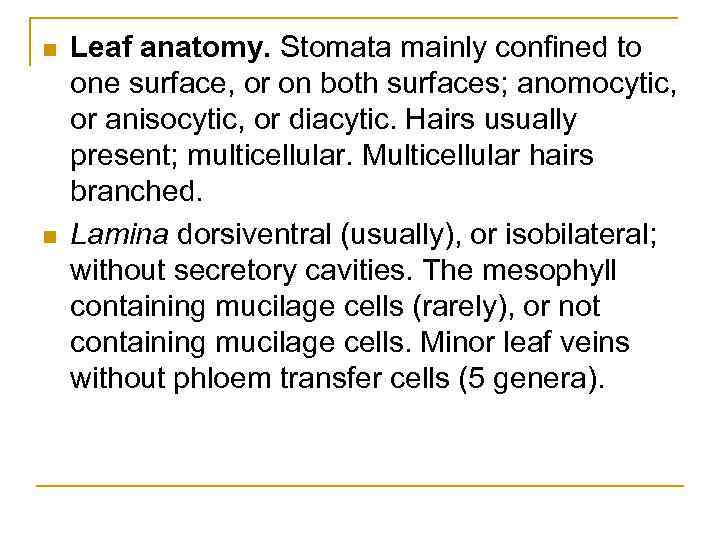 n n Leaf anatomy. Stomata mainly confined to one surface, or on both surfaces;