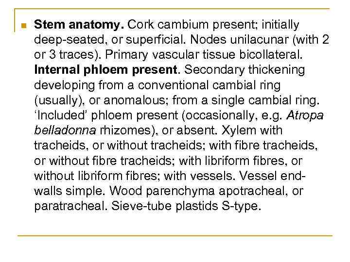 n Stem anatomy. Cork cambium present; initially deep-seated, or superficial. Nodes unilacunar (with 2