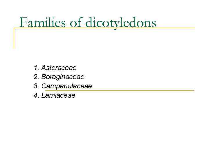 Families of dicotyledons 1. Asteraceae 2. Boraginaceae 3. Campanulaceae 4. Lamiaceae 