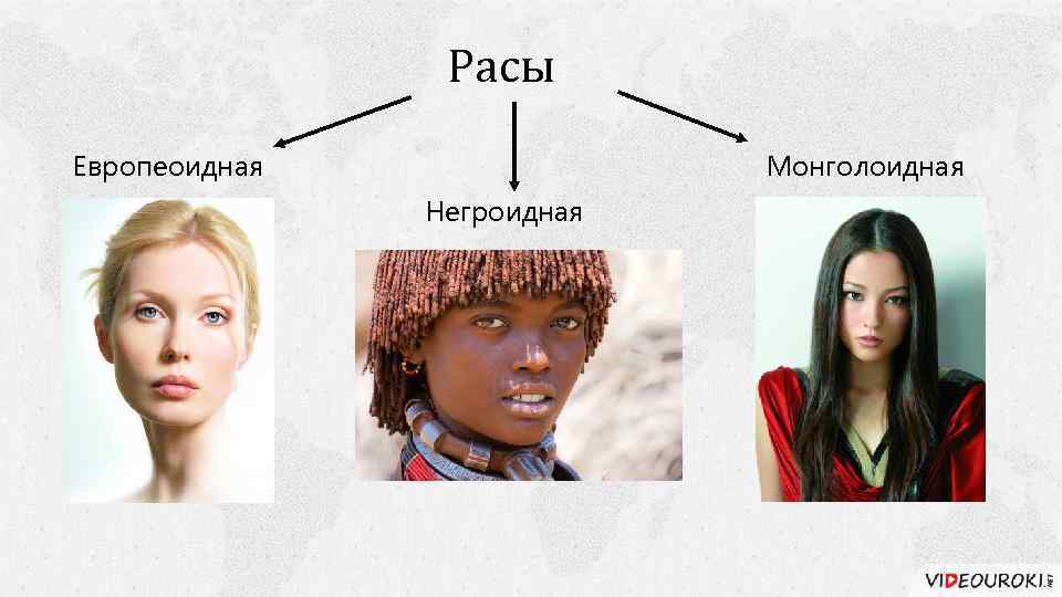 Расы негроидная европеоидная