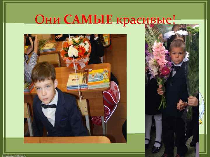 Они САМЫЕ красивые! Fokina. Lida. 75@mail. ru 