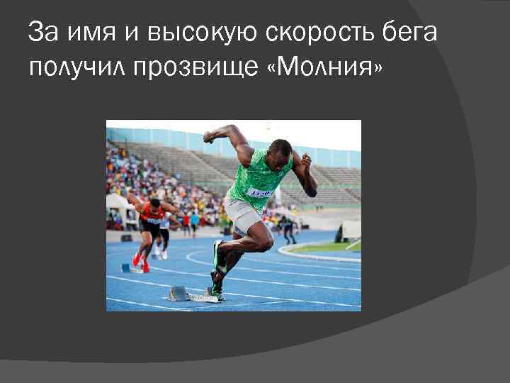 За имя и высокую скорость бега получил прозвище «Молния» 