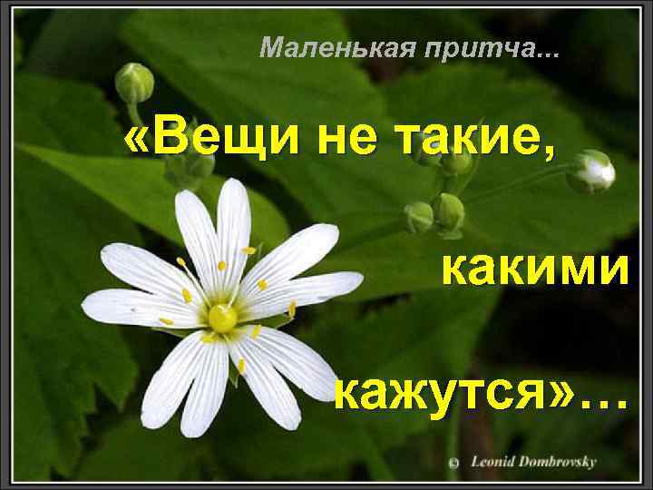 Маленькая притча. . . «Вещи не такие, какими кажутся» … 