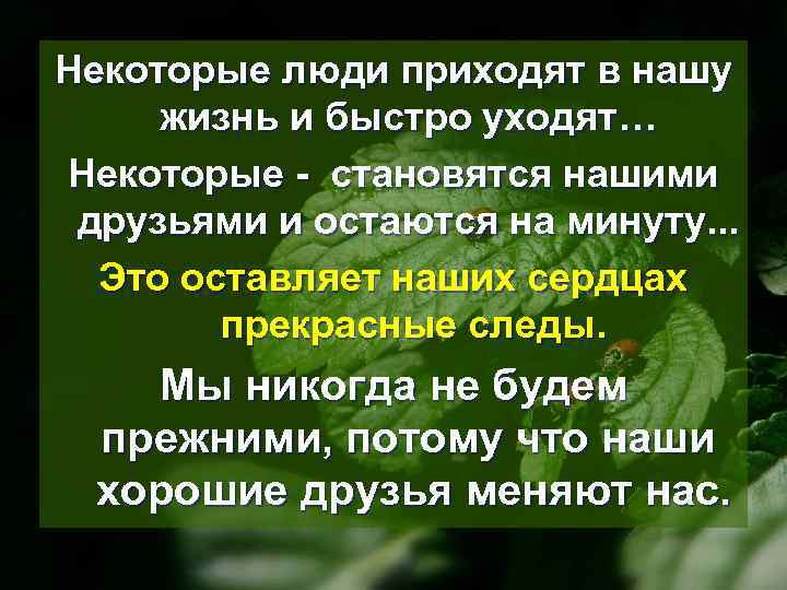 Некоторые люди приходят в нашу жизнь и быстро уходят… Некоторые - становятся нашими друзьями