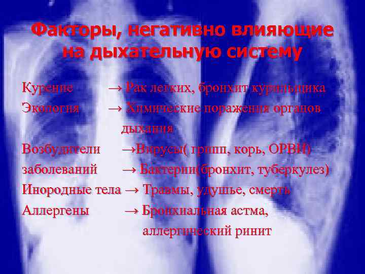 Факторы, негативно влияющие на дыхательную систему Курение Экология → Рак легких, бронхит курильщика →