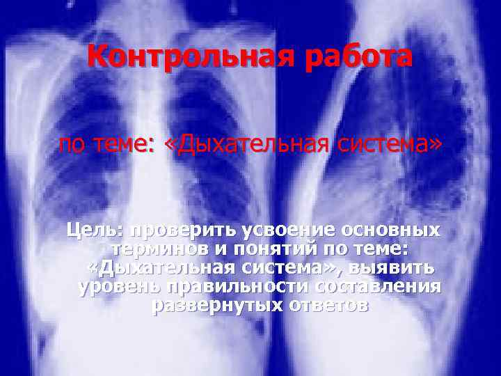 Контрольная работа по теме: «Дыхательная система» Цель: проверить усвоение основных терминов и понятий по