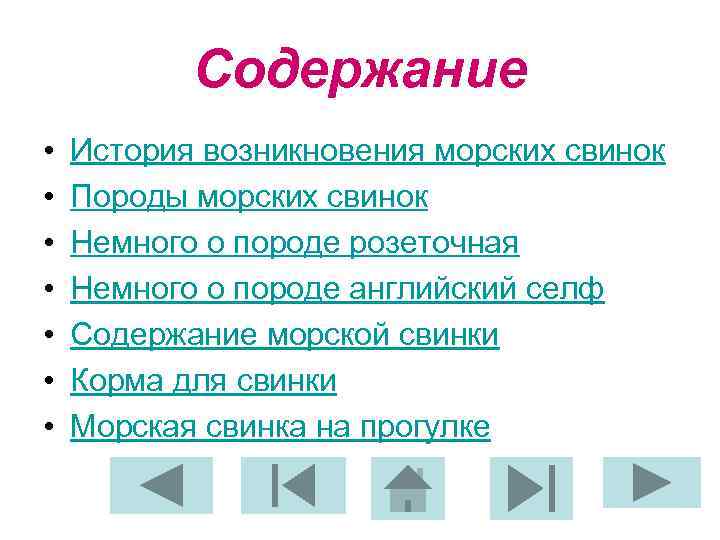 Содержание • • История возникновения морских свинок Породы морских свинок Немного о породе розеточная