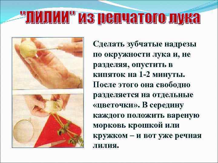 Сделать зубчатые надрезы по окружности лука и, не разделяя, опустить в кипяток на 1