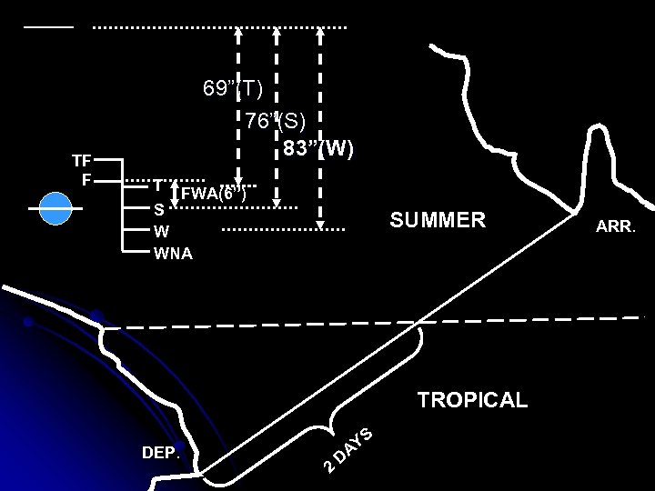 TF F 69”(T) 76”(S) 83”(W) T FWA(6”) S W WNA SUMMER TROPICAL DEP. 2
