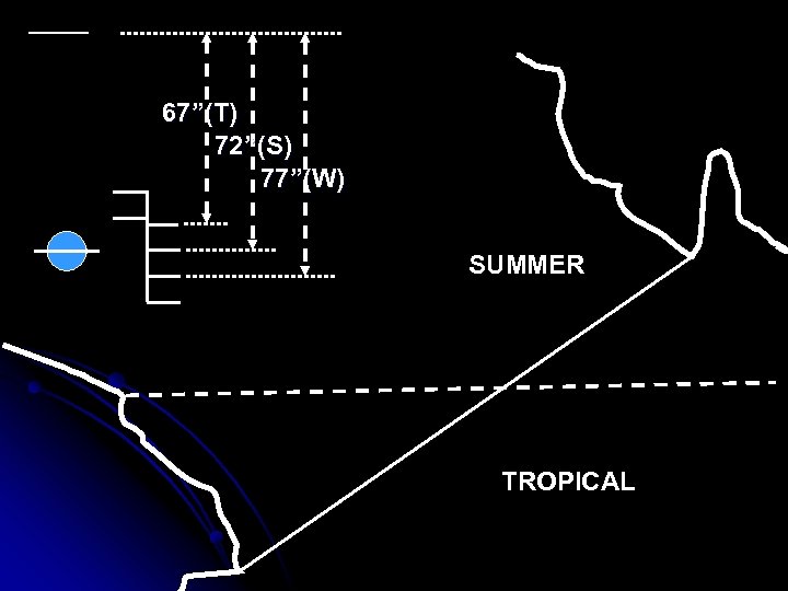 67”(T) 72”(S) 77”(W) SUMMER TROPICAL 