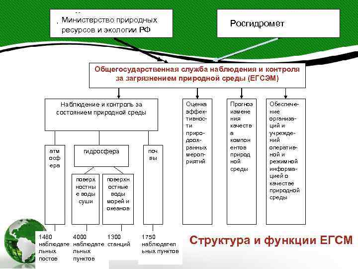 Министерство охраны Министерство природных окружающей среды и природных ресурсов и экологии РФ ресурсов РФ