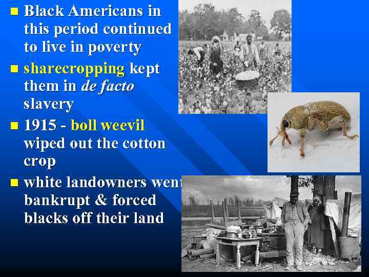 Black Americans in this period continued to live in poverty n sharecropping kept them