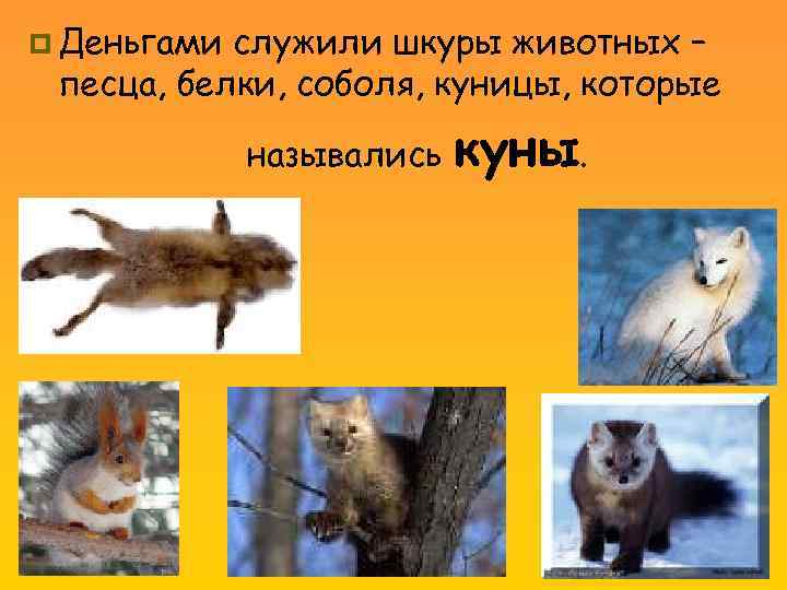 p Деньгами служили шкуры животных – песца, белки, соболя, куницы, которые назывались куны. 
