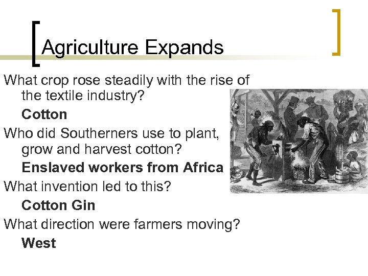 Agriculture Expands What crop rose steadily with the rise of the textile industry? Cotton