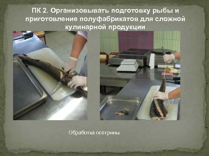 ПК 2. Организовывать подготовку рыбы и приготовление полуфабрикатов для сложной кулинарной продукции Обработка осетрины