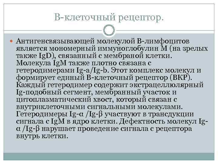 В-клеточный рецептор. Антигенсвязывающей молекулой В-лимфоцитов является мономерный иммуноглобулин М (на зрелых также Ig. D),