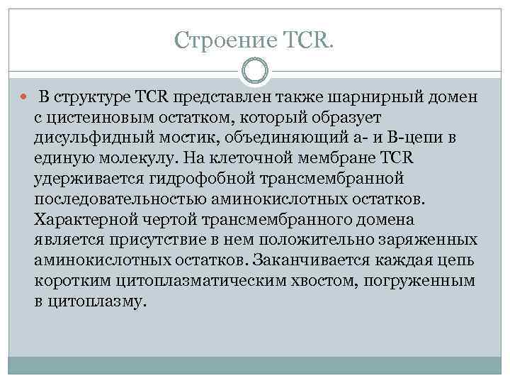 Строение TCR. В структуре TCR представлен также шарнирный домен с цистеиновым остатком, который образует